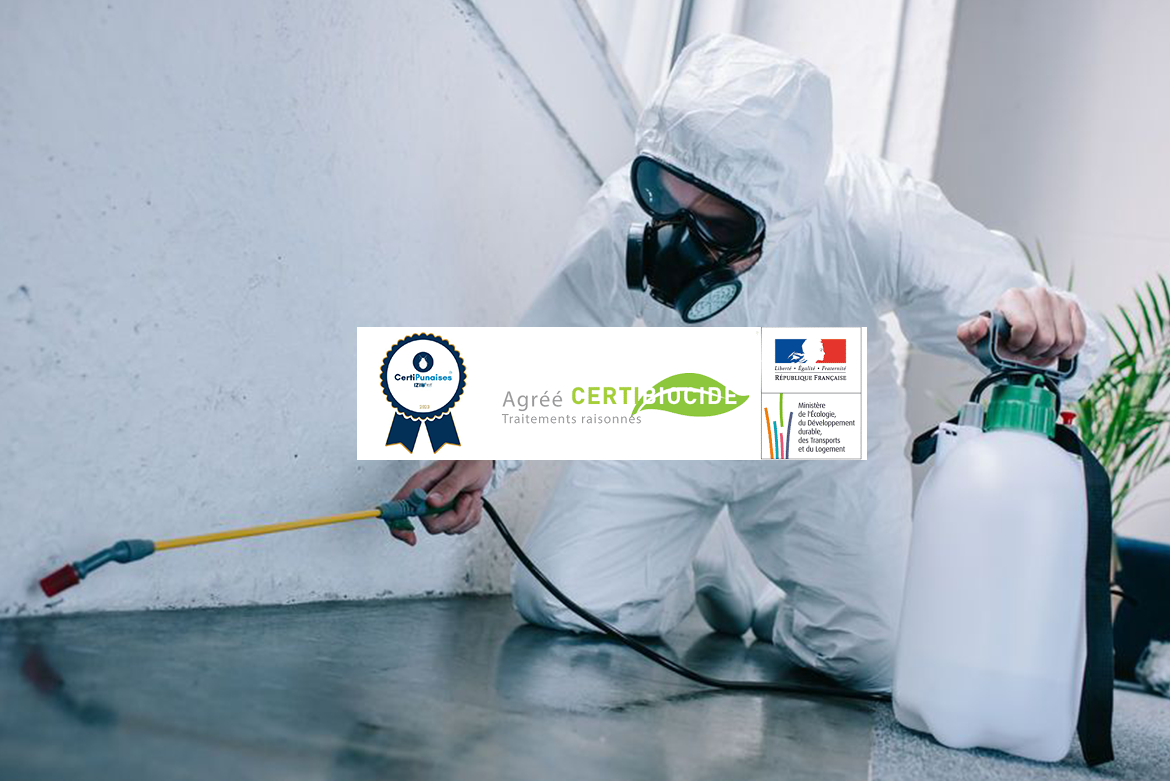 Dératiseur Stop Nuisibles Paris en intervention