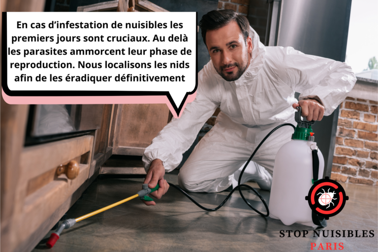 dératisation à paris, nuisibles paris, punaise de lit paris, traitement punaise de lit paris, deratisation paris, cafard paris, entreprise punaise de lit paris, anti nuisibles paris, anti punaise de lit professionel