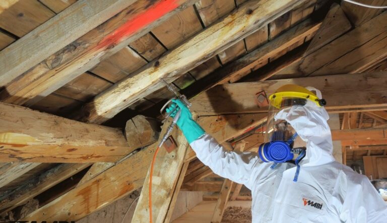 entreprise vrillette paris , traitement vrillette 92, entreprise vrillette 91, traitement vrillette 91, xylophage paris, stop nuisibles paris, traitement bois 92